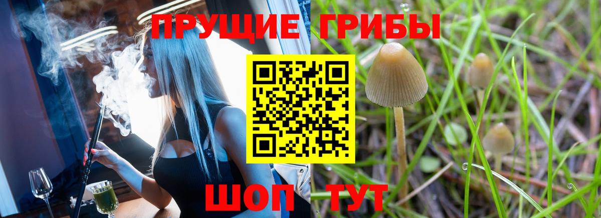 Галлюциногенные грибы мицелий  Псилоцибиновые грибы мицелий  Орёл  Вход с VPN 